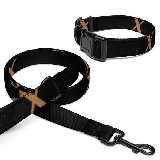 X Gold Pet collar & leash