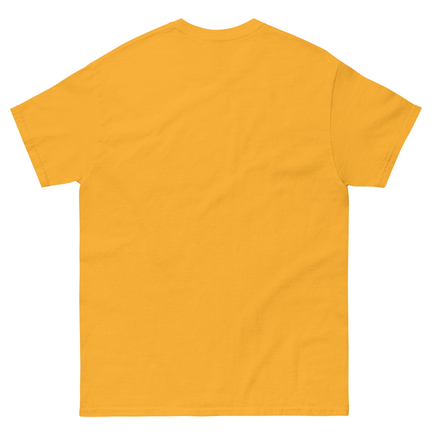 Hawaii Surfins Unisex classic tee