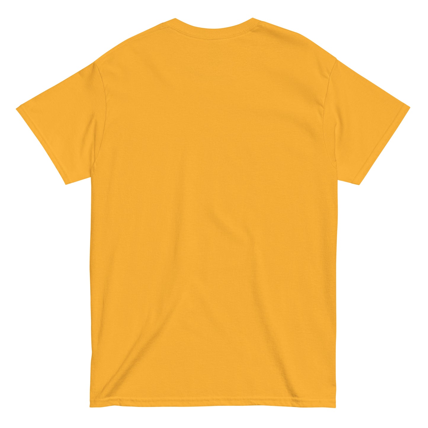 Summer Party Unisex classic tee