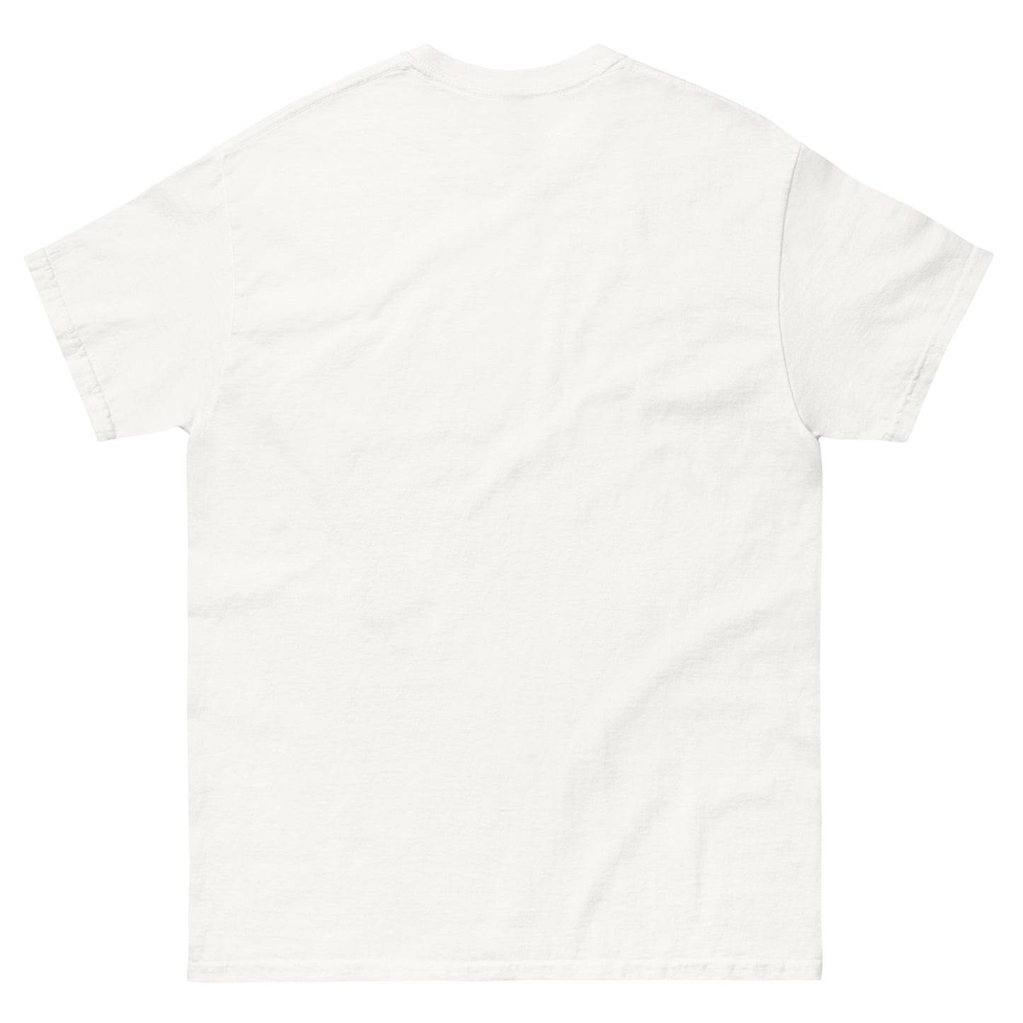 Hawaii Surfins Unisex classic tee